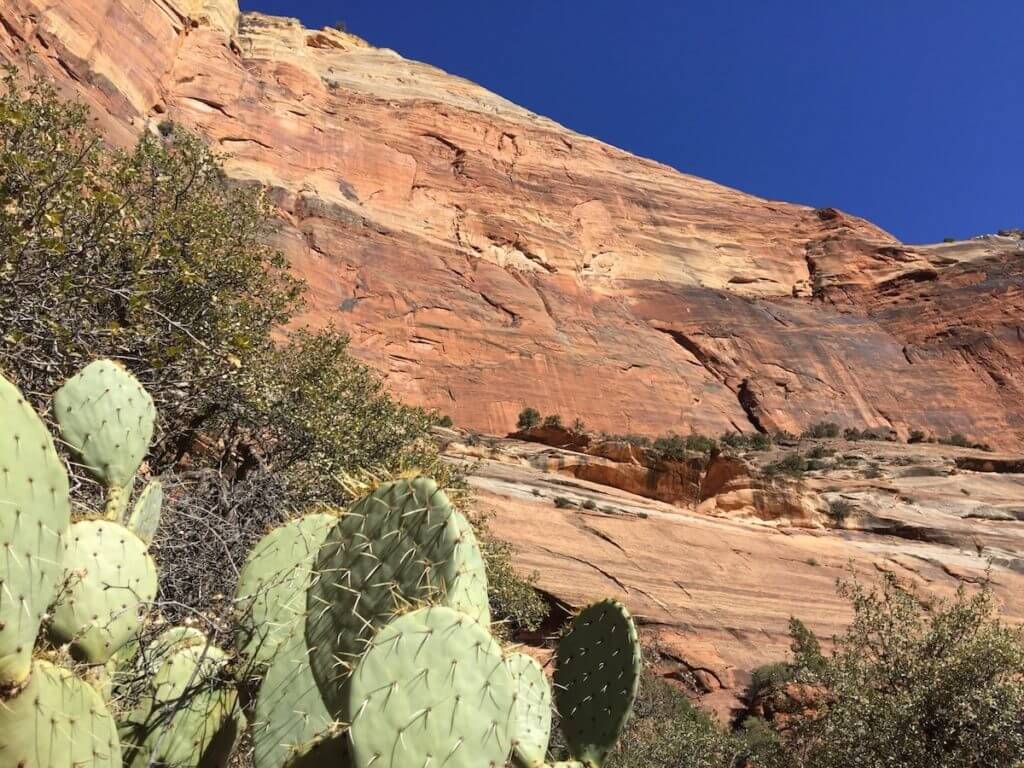 Zion National Park